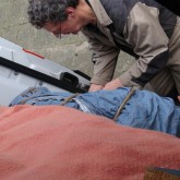 130303 InpakkenWegwezen