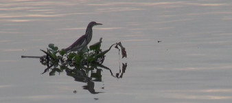 work#art-Niemandsland-1