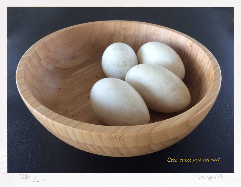 Ceci n'est pas un nid-Hoogtij 2.0-voorpagina