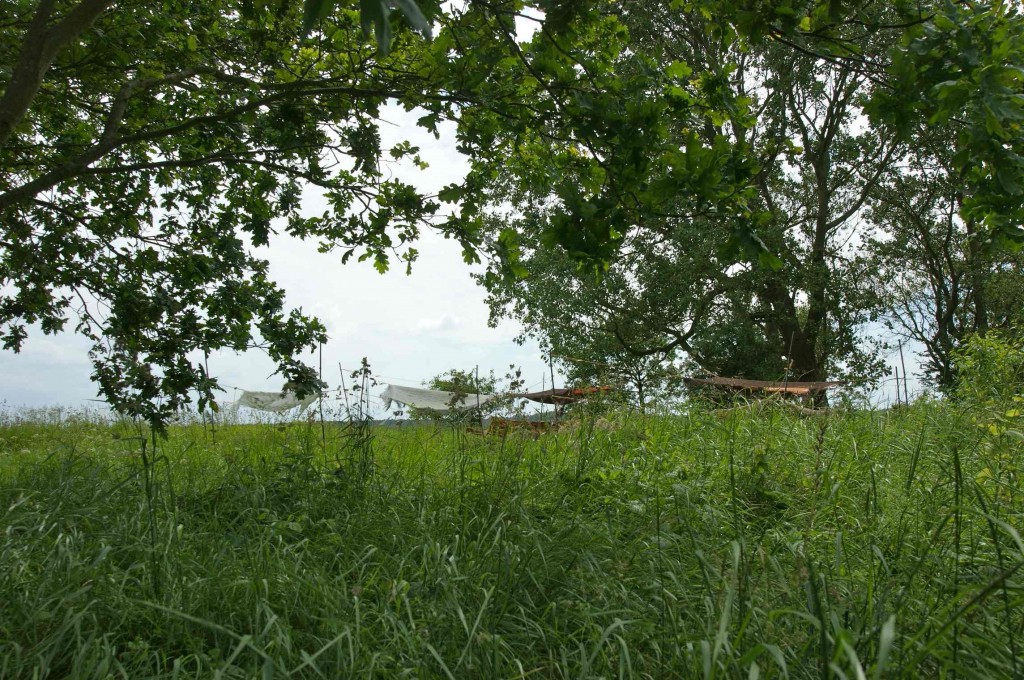 PubliPalimpsest12 Gideon