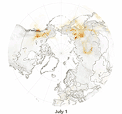 Waargenomen-roet-in-juli(166x177)