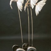 'Karretje Met Drie Paar Vleugels'