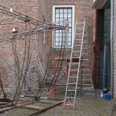 work#art-20-05-Ontogenesis-opbouw-5