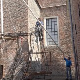 work#art-24-05-Ontogenesis-opbouw-4