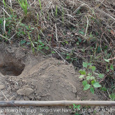 Pootgat voor zaad+coordinaten