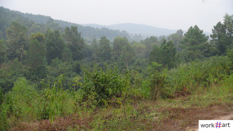 work#art AtelierTung-uitzicht heuvels rond studio-2