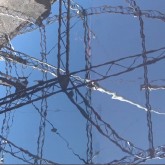 work#art=Ontogenesis-2